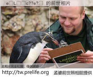 e�L��c??e?� 的前世相片