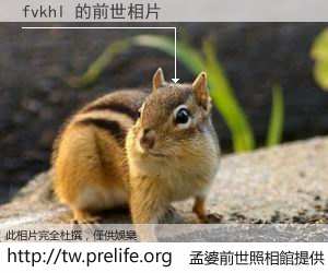 fvkhl 的前世相片
