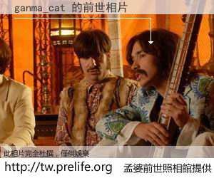 ganma_cat 的前世相片