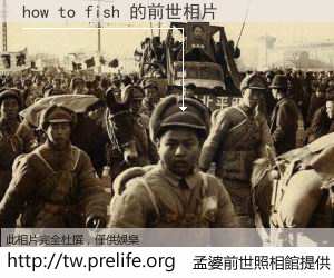 how to fish 的前世相片