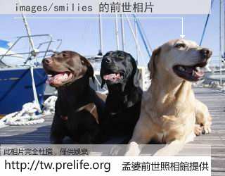 images/smilies 的前世相片