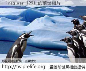 iraq war 1991 的前世相片
