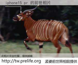 iphone15 pr 的前世相片