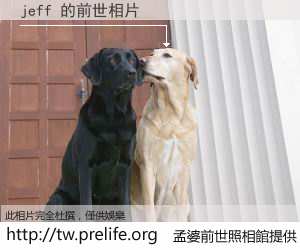 jeff 的前世相片