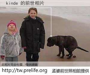 kinde 的前世相片