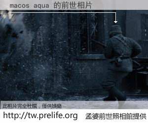 macos aqua 的前世相片