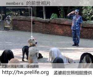 members 的前世相片