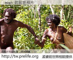 mogh 的前世相片