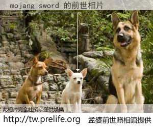 mojang sword 的前世相片