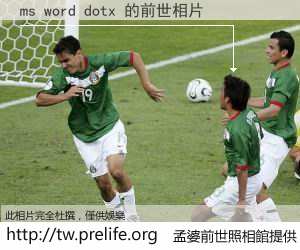ms word dotx 的前世相片