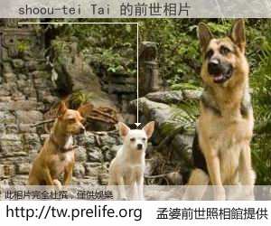 shoou-tei Tai 的前世相片