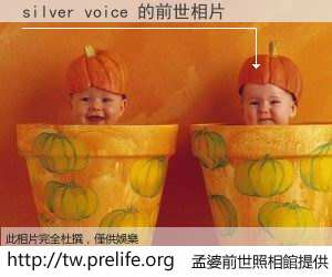silver voice 的前世相片