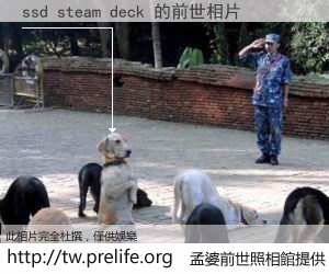 ssd steam deck 的前世相片