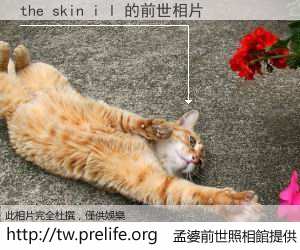the skin i l 的前世相片