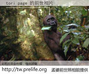 tori page 的前世相片