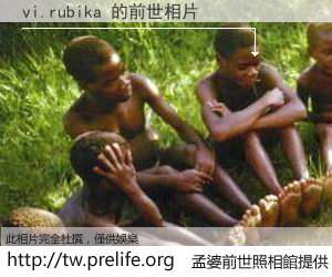 vi.rubika 的前世相片