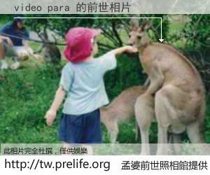 video para 的前世相片