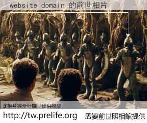 website domain 的前世相片