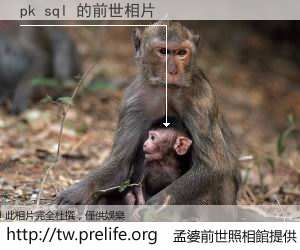 pk sql 的前世相片
