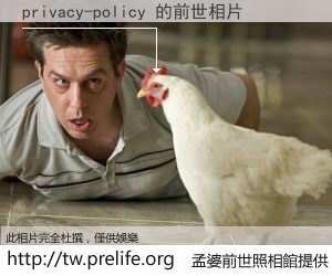 privacy-policy 的前世相片