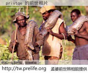 privtqe 的前世相片