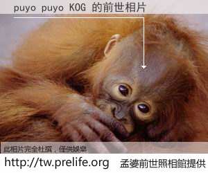 puyo puyo KOG 的前世相片