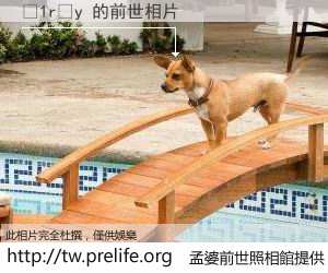 ���r�y 的前世相片