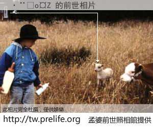 ���o�Z 的前世相片