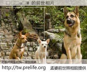 ���u�M 的前世相片