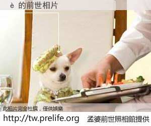 è 的前世相片