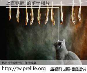 上官劉靜 的前世相片