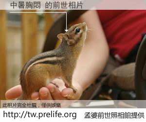 中暑胸悶 的前世相片