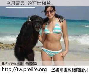 今泉吉典 的前世相片