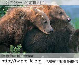 公冶吃一 的前世相片