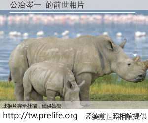 公冶岑一 的前世相片