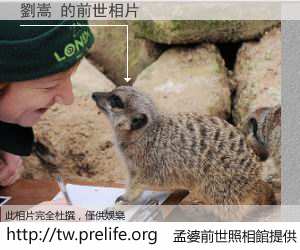 劉嵩 的前世相片