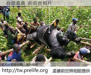 台銀嘉義 的前世相片