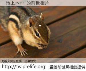 地上へ… 的前世相片