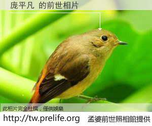 庞平凡 的前世相片