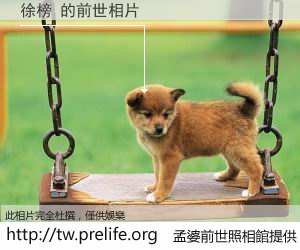 徐榜 的前世相片