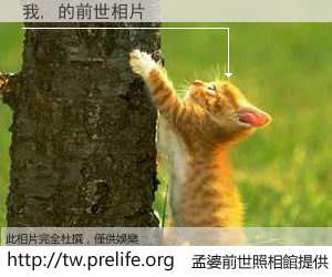 我, 的前世相片