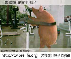 戴鑽帕 的前世相片