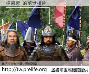 楊碧紫 的前世相片