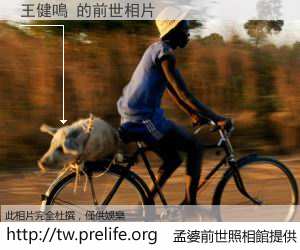 王健鳴 的前世相片