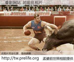 番剧网站 的前世相片