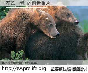 花乙一鬱 的前世相片