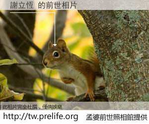 謝立恆 的前世相片