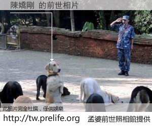 陳嬌剛 的前世相片