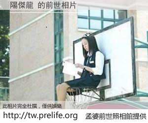 陽傑龍 的前世相片